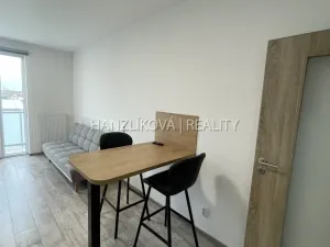 Pronájem bytu 1+kk, České Budějovice - České Budějovice 3, Jírovcova, 30 m2