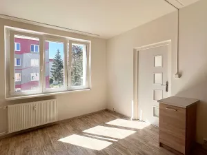 Pronájem bytu 1+1, Jirkov, Vinařická, 38 m2