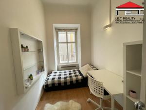 Pronájem bytu 1+kk, Brno, Starobrněnská, 10 m2