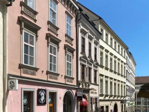 Pronájem bytu 1+kk, Brno, Starobrněnská, 10 m2