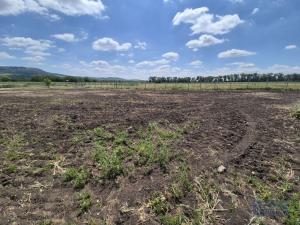 Prodej pozemku pro bydlení, Dolní Dunajovice, Pálavská, 619 m2