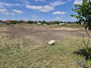 Prodej pozemku pro bydlení, Dolní Dunajovice, Pálavská, 619 m2