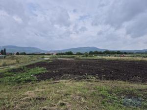 Prodej pozemku pro bydlení, Dolní Dunajovice, Pálavská, 619 m2