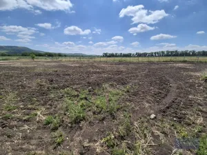 Prodej pozemku pro bydlení, Dolní Dunajovice, Pálavská, 631 m2