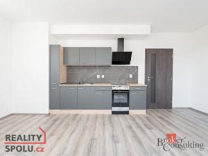 Pronájem bytu 1+kk, Heřmanova Huť - Vlkýš, U Pondu, 36 m2