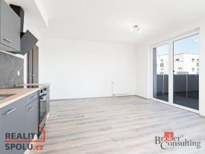Pronájem bytu 1+kk, Heřmanova Huť - Vlkýš, U Pondu, 36 m2