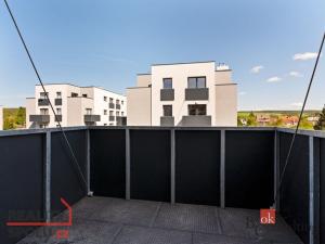 Pronájem bytu 1+kk, Heřmanova Huť - Vlkýš, U Pondu, 36 m2