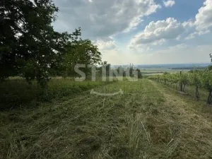 Prodej zahrady, Strážnice, 3628 m2