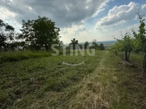 Prodej zahrady, Strážnice, 3628 m2