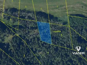 Prodej podílu lesa, Žďár nad Sázavou, 904 m2