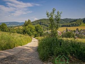 Prodej pole, Lipová-lázně, 12392 m2