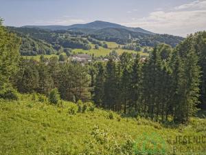 Prodej pole, Lipová-lázně, 12392 m2