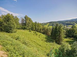 Prodej pole, Lipová-lázně, 12392 m2