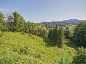 Prodej pole, Lipová-lázně, 12392 m2