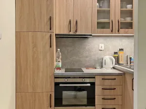 Pronájem bytu 1+kk, Ostrava, Rabasova, 25 m2