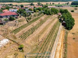 Prodej vinného sklepa, Pravice, 114 m2