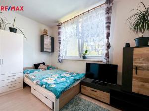 Pronájem bytu 1+kk, Příbram - Příbram VII, Pod Čertovým pahorkem, 25 m2