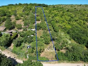 Prodej zahrady, Pouzdřany, 1698 m2