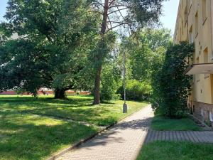 Prodej bytu 3+1, Kladno, Sportovců, 60 m2