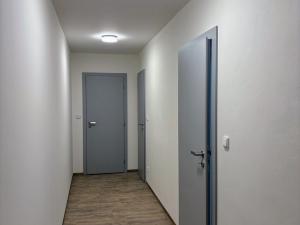 Pronájem ubytování, Brno, Sukova, 65 m2