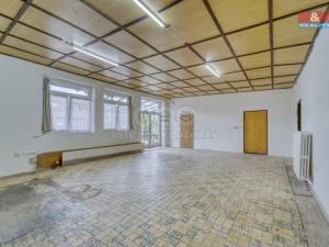 Pronájem obchodního prostoru, Borovy, 168 m2