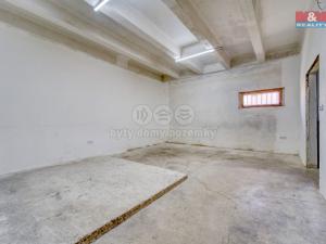 Pronájem obchodního prostoru, Borovy, 168 m2