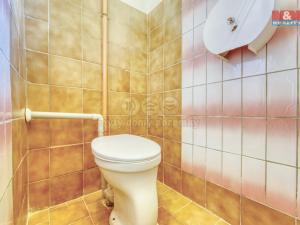 Pronájem obchodního prostoru, Borovy, 168 m2