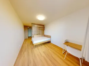 Pronájem bytu 1+kk, Praha - Břevnov, Na Větrníku, 27 m2