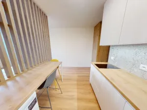 Pronájem bytu 1+kk, Praha - Břevnov, Na Větrníku, 27 m2