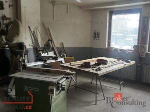 Prodej výrobních prostor, Opočno, Podzámčí, 876 m2