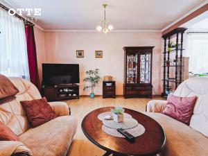 Pronájem rodinného domu, Plzeň, Zábělská, 269 m2