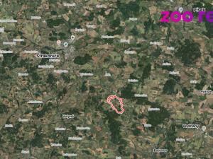 Prodej bytu 3+1, Kváskovice, 91 m2