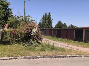 Pronájem garáže, Hradec Králové - Pražské Předměstí, Zahrádkářská osada Hradečan, 18 m2