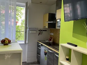 Pronájem bytu 1+kk, Ostrava, Karla Pokorného, 27 m2