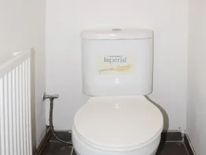 Prodej činžovního domu, Děčín - Děčín III-Staré Město, Rakovnická, 160 m2