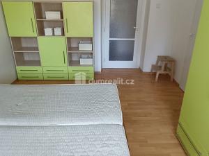 Pronájem bytu 2+1, Děčín - Děčín I-Děčín, Dobrovského, 49 m2