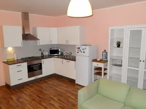 Pronájem bytu 2+kk, Praha - Žižkov, V domově, 50 m2