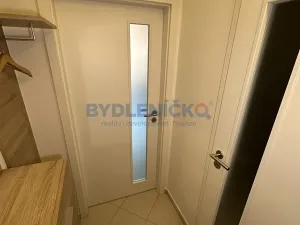 Pronájem bytu 1+kk, Borovany, Třeboňská, 28 m2