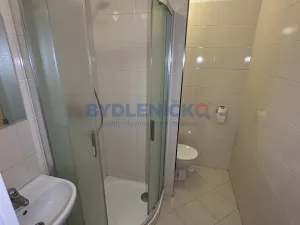 Pronájem bytu 1+kk, Borovany, Třeboňská, 28 m2