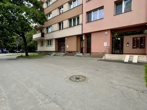 Pronájem bytu 2+1, Ostrava - Hrabůvka, Horní, 43 m2