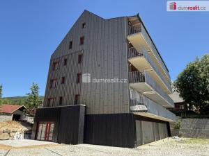 Pronájem bytu 1+1, Harrachov - Nový Svět, 43 m2