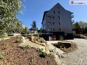 Pronájem bytu 1+1, Harrachov - Nový Svět, 43 m2