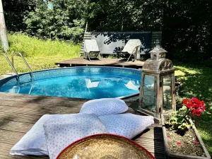 Prodej chalupy, Rokytnice v Orlických horách - Nebeská Rybná, 140 m2