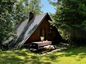 Prodej chalupy, Rokytnice v Orlických horách - Nebeská Rybná, 140 m2