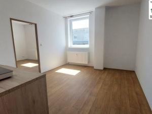 Pronájem bytu 1+1, Cheb, Dragounská, 26 m2