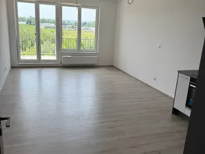 Pronájem bytu 2+kk, Pardubice, Pod Vinicí, 58 m2