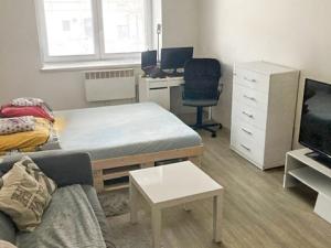 Pronájem bytu 1+kk, Opava, Hany Kvapilové, 18 m2