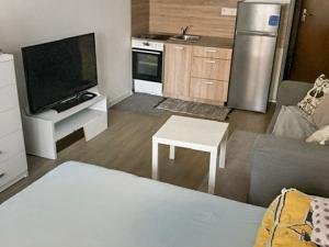 Pronájem bytu 1+kk, Opava, Hany Kvapilové, 18 m2