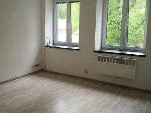Pronájem bytu 1+1, Opava - Předměstí, Rybářská, 25 m2