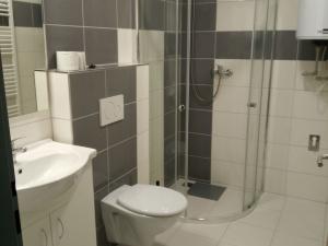 Pronájem bytu 1+1, Opava - Předměstí, Rybářská, 25 m2